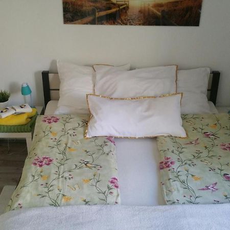 Appartamento Zacisze Starowki Stary Toruń Esterno foto